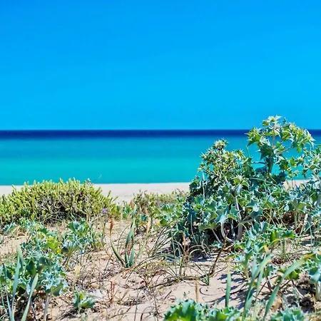 Nyaraló Alba Costa Rei