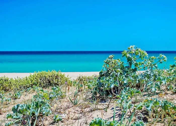 Dom wakacyjny Alba Costa Rei